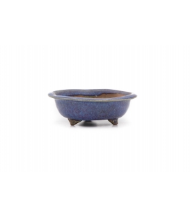 Bonsai Pot Kutani