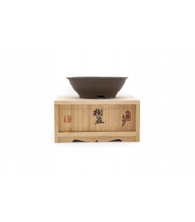 Bonsai Pot Kutani
