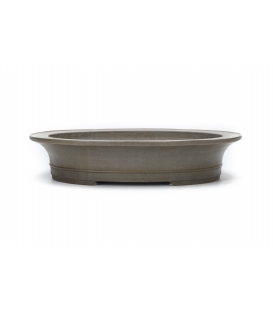 Bonsai Pot Seizan Used
