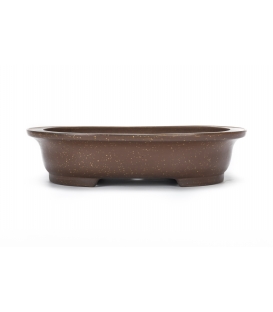 Bonsai Pot Seizan Used