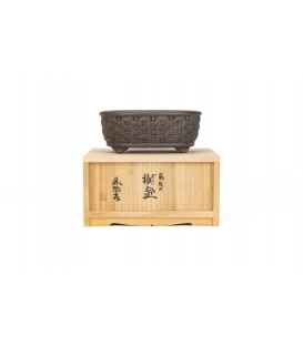 Bonsai Pot Tosui Ryokujuan