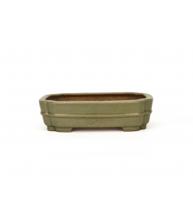 Bonsai Pot