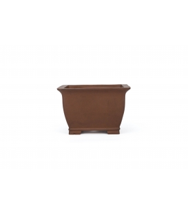 Bonsai Pot