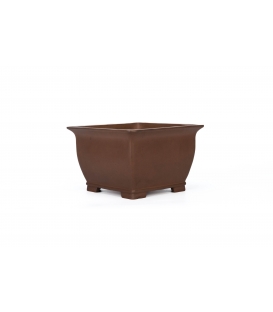 Bonsai Pot