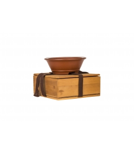 Bonsai Pot