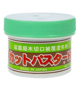 Conifer healing paste 160 g Kaneshin