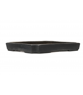 Bonsai Pot