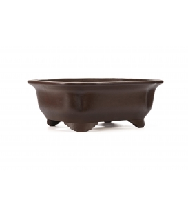 Bonsai Pot