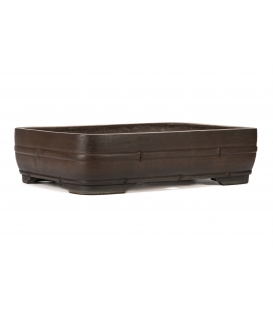 Bonsai Pot