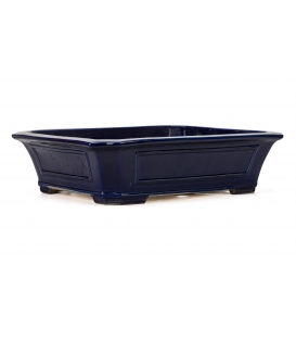 Bonsai Pot