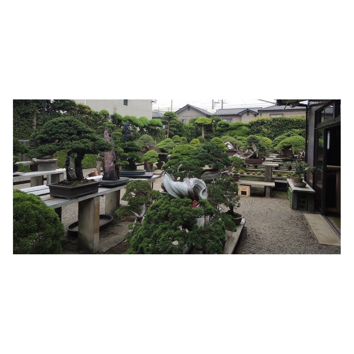 Trip to Japan 2016 Part Three (Kimura's Garden)